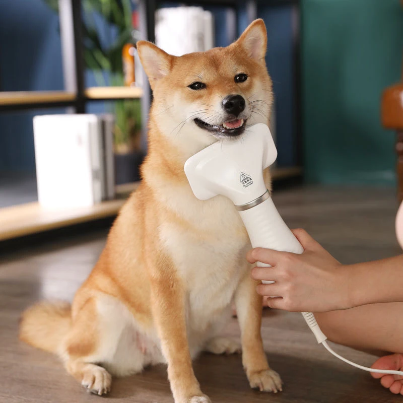 Dog Hair Dryer Pet Groom Hair Blower with Slicker Brush Adjustable Temperature 2 Settings Low Noise Hair Styling DFDS889
Dog Hair Dryer Pet Groom Hair Blower with Slicker Brush Adjustable Temperature 2 Settings Low Noise Hair Styling DFDS889