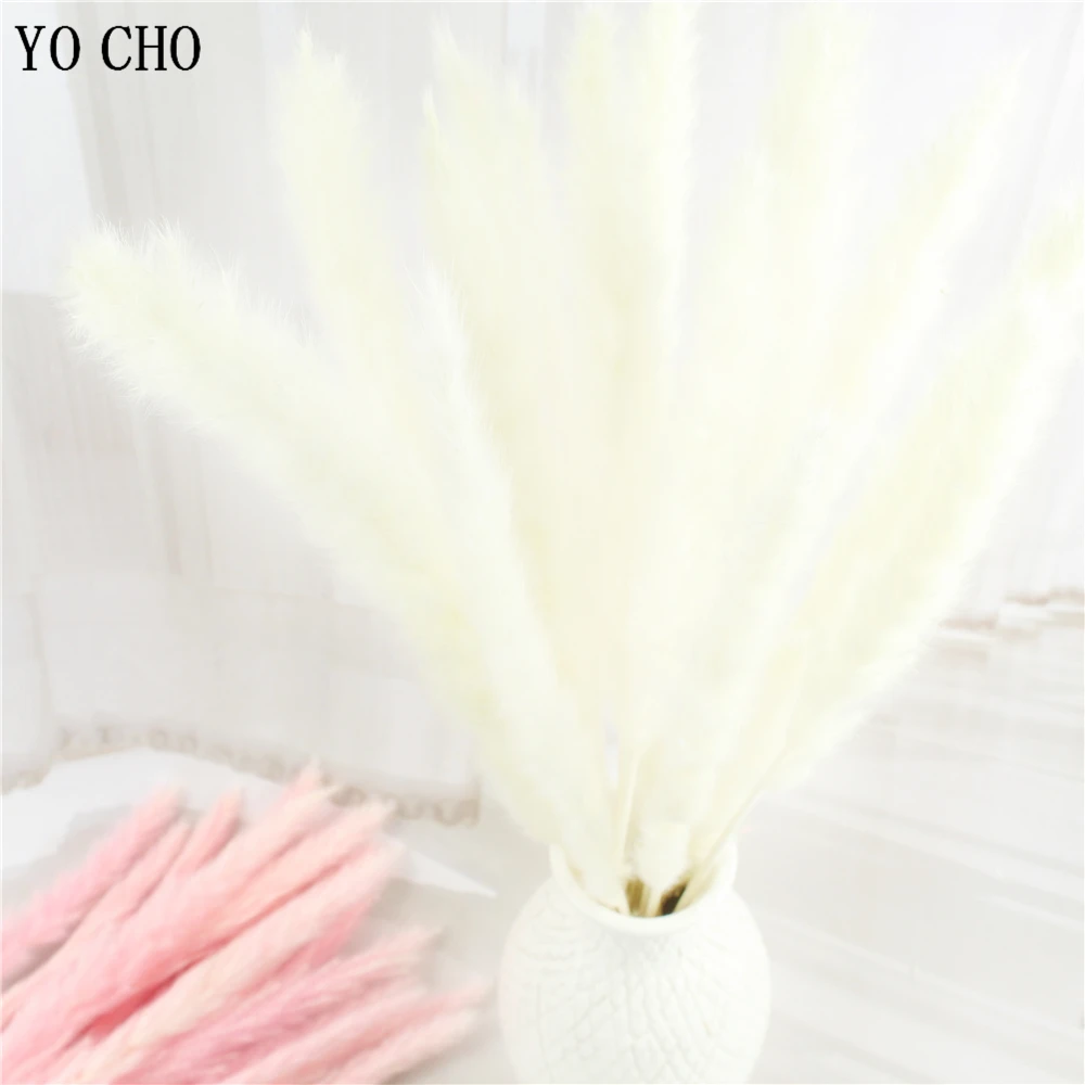 15pcs Pampas Grass Plant Large Wedding Decor Bulrush Phragmites Plumes Real Dried Reed Flower Shop Decoration DIY Flower Bunch
15pcs Pampas Grass Plant Large Wedding Decor Bulrush Phragmites Plumes Real Dried Reed Flower Shop Decoration DIY Flower Bunch