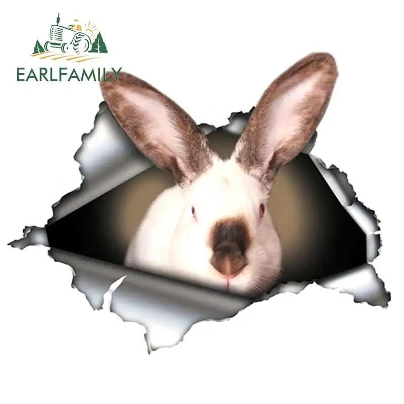 EARLFAMILY 13cm x 10.3cm Californian Rabbit Car Sticker Torn Metal Decal Reflective Stickers Skateboard Luggage Car Decoration
EARLFAMILY 13cm x 10.3cm Californian Rabbit Car Sticker Torn Metal Decal Reflective Stickers Skateboard Luggage Car Decoration