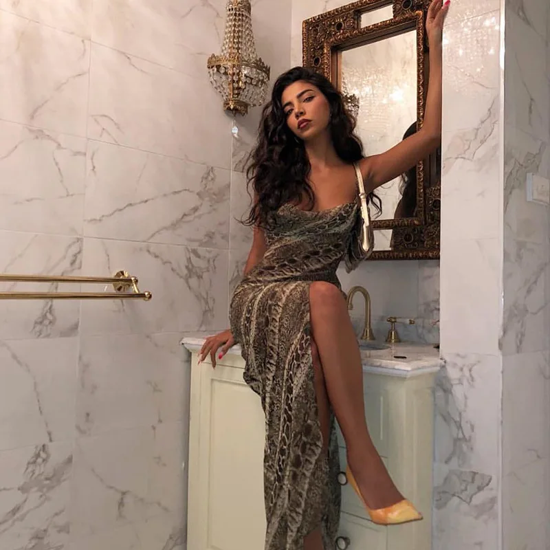 Snake Print Dress Chiffon Sexy Women Long Party Slip Maxi Sheer Strap Backless Slit Elegant Backless Chiffon See Through Dresses
Snake Print Dress Chiffon Sexy Women Long Party Slip Maxi Sheer Strap Backless Slit Elegant Backless Chiffon See Through Dresses