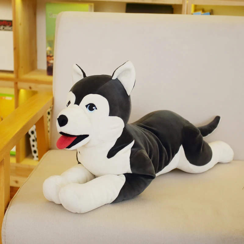 Cute husky doll plush toys peluches grandes dog rag doll cute erhu doll lazy sleeping pillow super cute girl doll birthday gifts
Cute husky doll plush toys peluches grandes dog rag doll cute erhu doll lazy sleeping pillow super cute girl doll birthday gifts