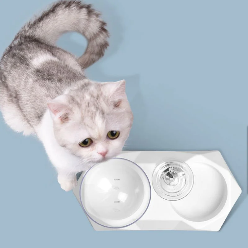 Pet Dog Bowl Small Medium Dog Cat Bowl Automatic Cat Water Dispenser Pet Raised Stand Double Bowl Pet Feeder Supplies
Pet Dog Bowl Small Medium Dog Cat Bowl Automatic Cat Water Dispenser Pet Raised Stand Double Bowl Pet Feeder Supplies