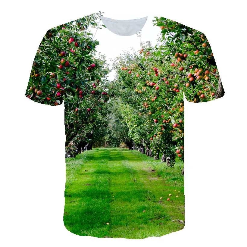Fruit Print T-Shirts 4-14 Years Kids 2021 Summer New Fashion Casual Loose O-Neck Short Sleeve Children's T-Shirts Boy Girl Tops
Fruit Print T-Shirts 4-14 Years Kids 2021 Summer New Fashion Casual Loose O-Neck Short Sleeve Children's T-Shirts Boy Girl Tops