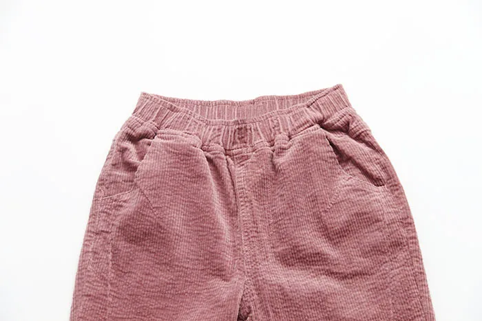 4991 New Autumn Women Elastic Waist Loose Corduroy Straight Casual Pants Mori Girl Harlan Long Pants
4991 New Autumn Women Elastic Waist Loose Corduroy Straight Casual Pants Mori Girl Harlan Long Pants