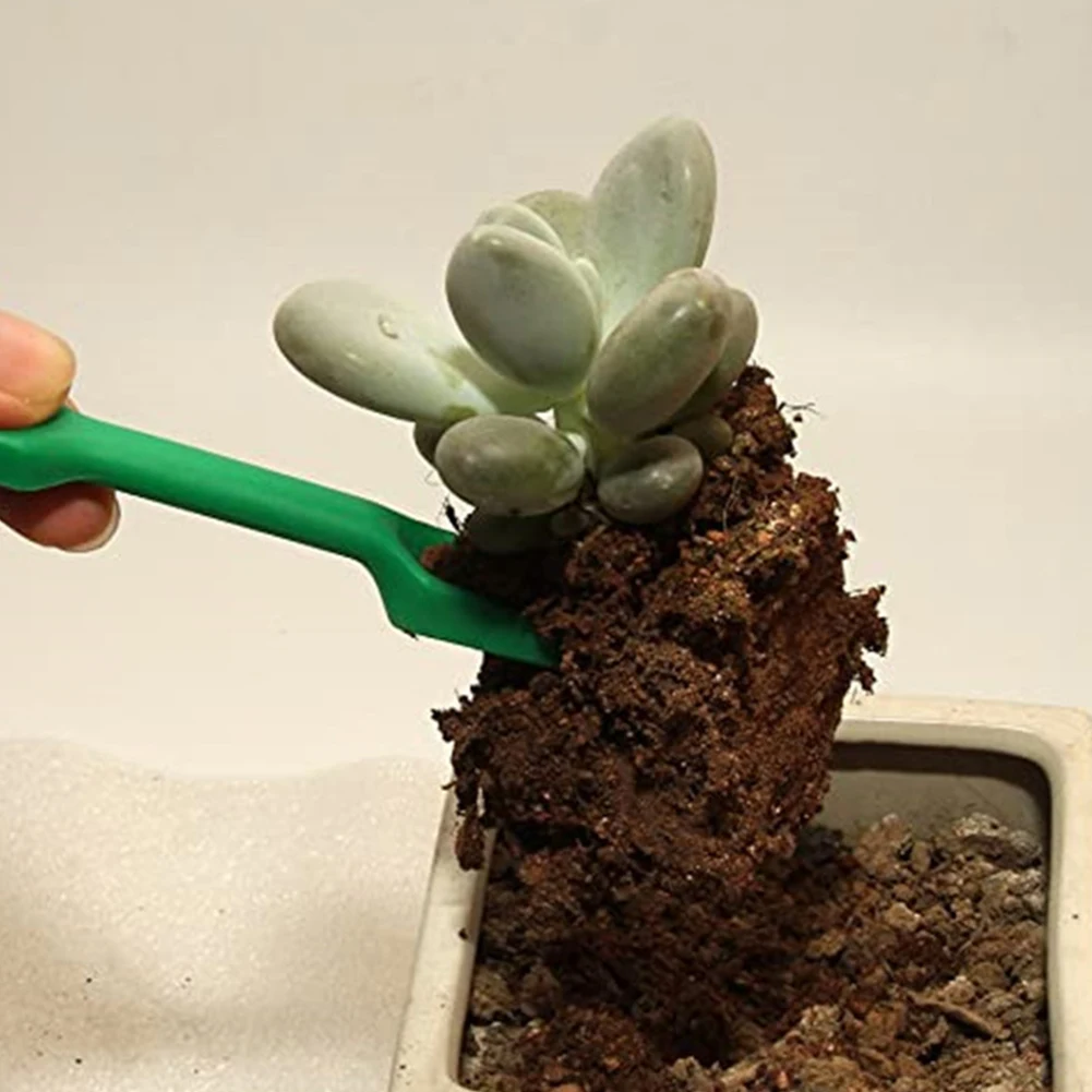 Mini Gardening Tools Wood Handle Stainless Succulents Potted Plants Bucket Shovel Rake Spade for Flowers Potted Garden Tool kit
Mini Gardening Tools Wood Handle Stainless Succulents Potted Plants Bucket Shovel Rake Spade for Flowers Potted Garden Tool kit