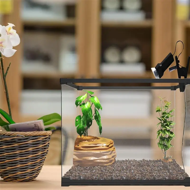 1Pc Glass Turtle Terrarium Reptile Feeding Tank Ecological Reptile Breeding Box
1Pc Glass Turtle Terrarium Reptile Feeding Tank Ecological Reptile Breeding Box