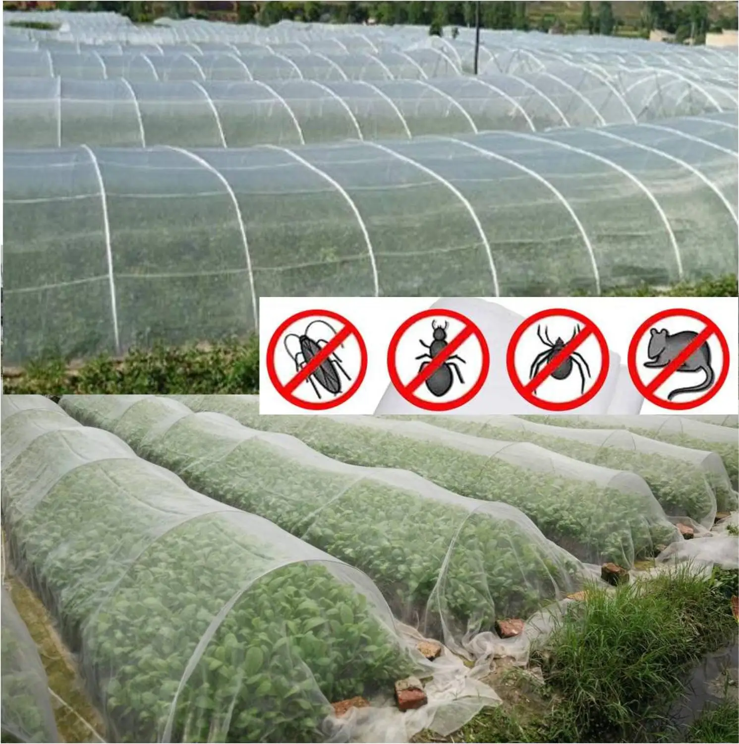 60/80/100Mesh Gardening Net Insect Net Bird Net Mist Net Nylon Net Protection Net Greenhouse Fruit Vegetable For Chicken Dog Cat
60/80/100Mesh Gardening Net Insect Net Bird Net Mist Net Nylon Net Protection Net Greenhouse Fruit Vegetable For Chicken Dog Cat