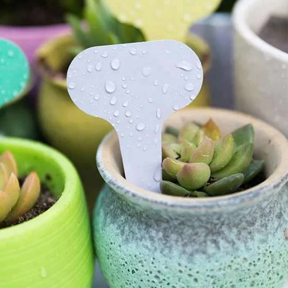 100PCS T-type Plant Markers Labels Waterproof Tags Garden Labels Seed Nursery Garden Stake Plant Labels Gardening Accessories
100PCS T-type Plant Markers Labels Waterproof Tags Garden Labels Seed Nursery Garden Stake Plant Labels Gardening Accessories