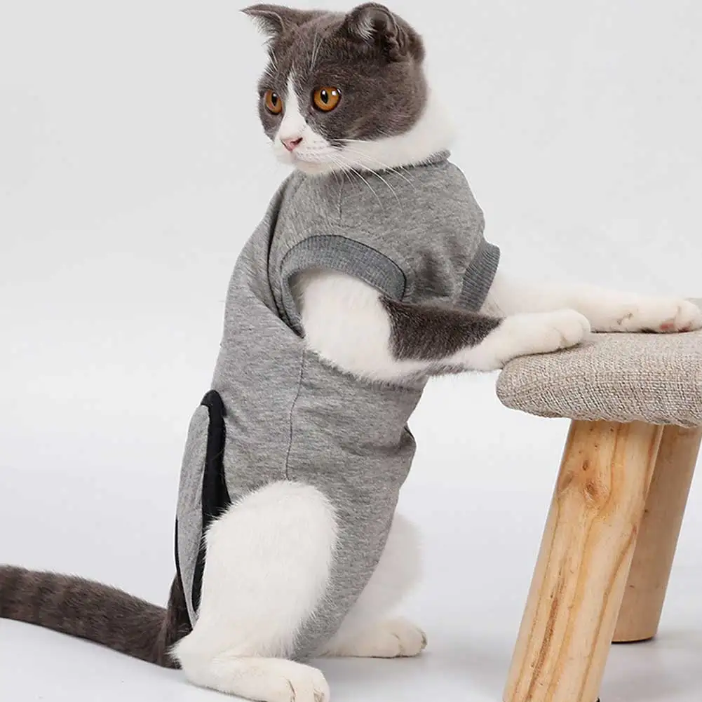 Adjustable Buckles Pet Recovery Suit Abdominal Wounds Rehabilitation Surgery Health Care Skin Diseases Soft Weaning Ablactation
Adjustable Buckles Pet Recovery Suit Abdominal Wounds Rehabilitation Surgery Health Care Skin Diseases Soft Weaning Ablactation