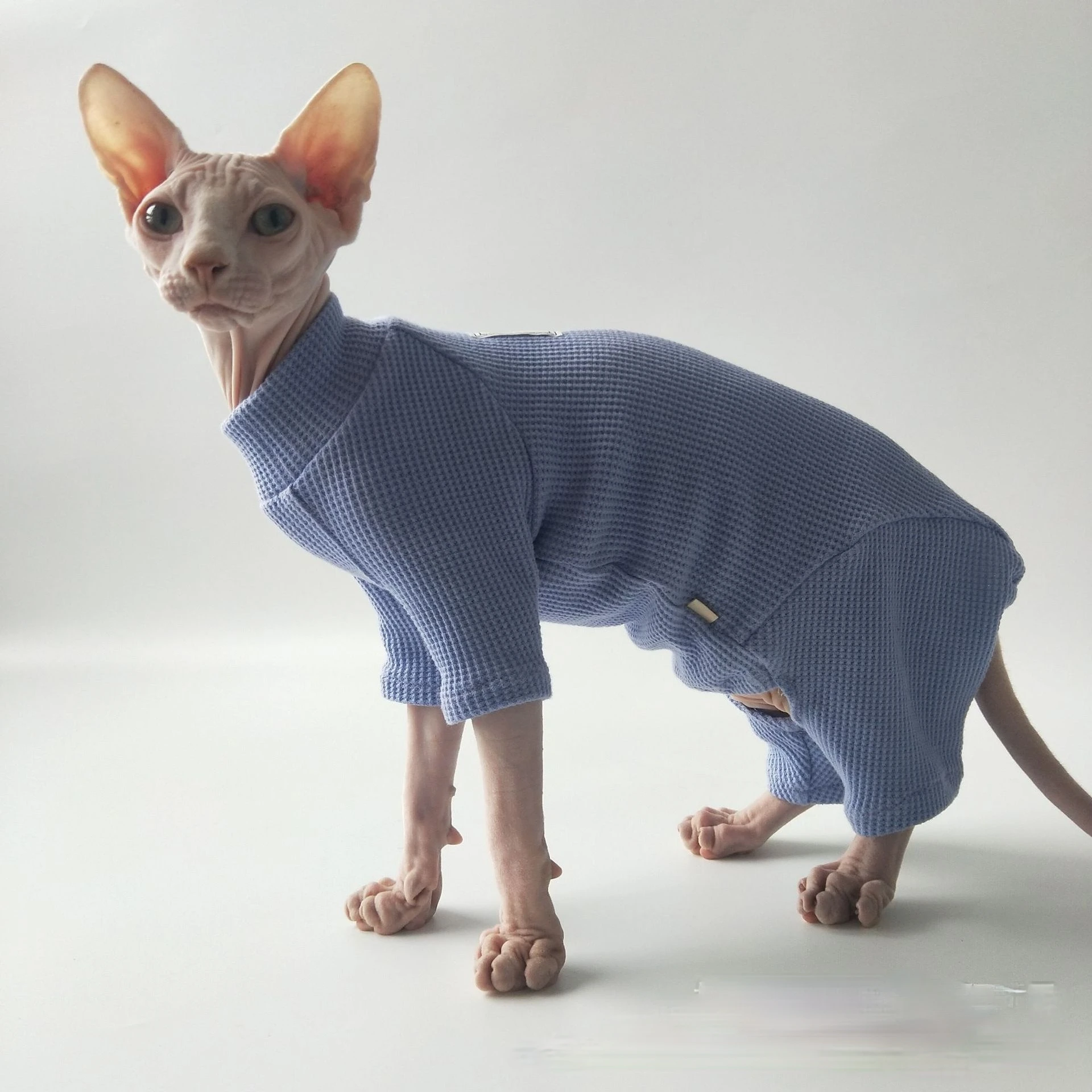 Hairless Cat Clothes Knitwear Base Shirt Air Conditioning Clothes Devon Rex Clothes Sphinx Clothes Cat Clothes Super Elastic
Hairless Cat Clothes Knitwear Base Shirt Air Conditioning Clothes Devon Rex Clothes Sphinx Clothes Cat Clothes Super Elastic