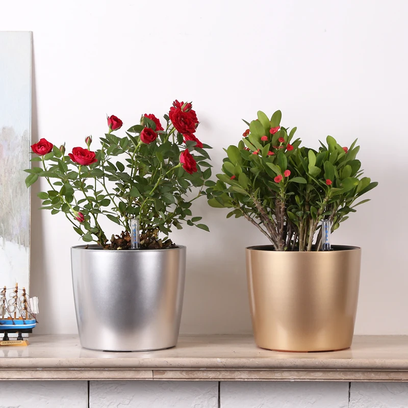 EFive color Water level gauge automatic watering Intelligent plastic flower pots pastoral Corrosion resistance flower plant pot
EFive color Water level gauge automatic watering Intelligent plastic flower pots pastoral Corrosion resistance flower plant pot