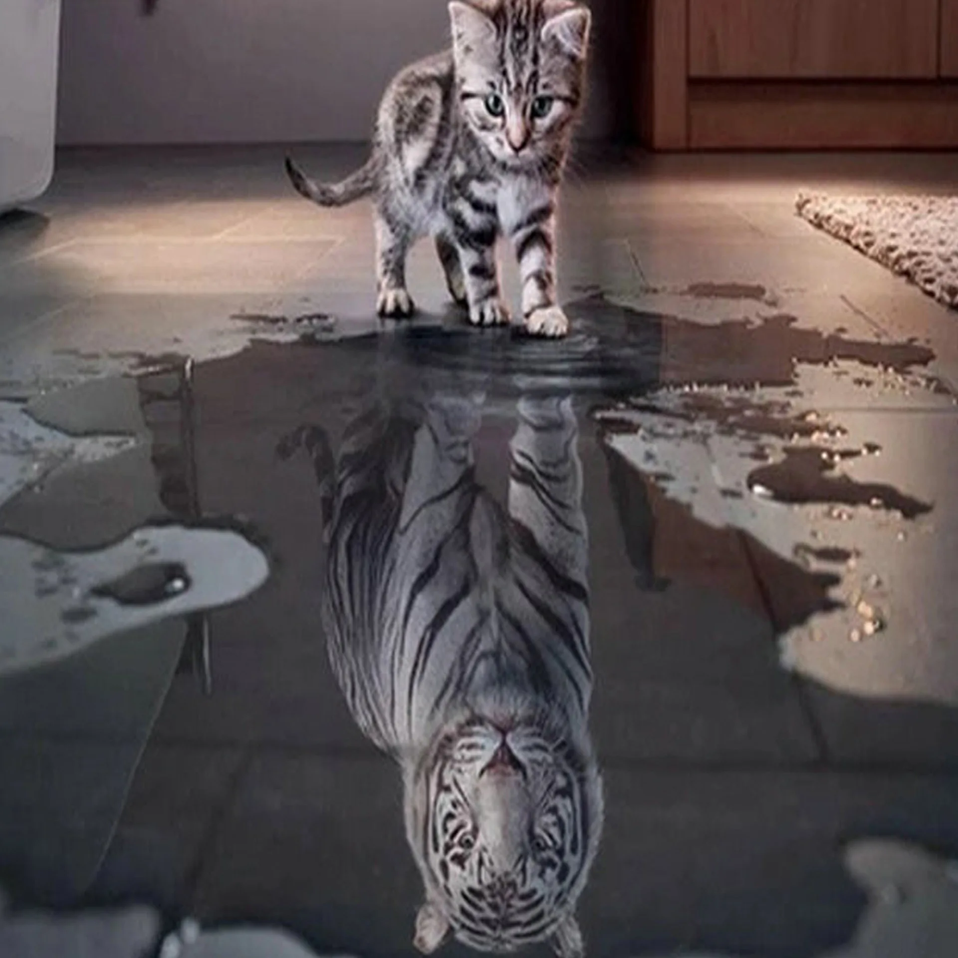 DIY 5D Diamond Painting Tiger Diamond Embroidery Cat Picture of Cat's Reflection Animals Decorative Home Decoration Painting
DIY 5D Diamond Painting Tiger Diamond Embroidery Cat Picture of Cat's Reflection Animals Decorative Home Decoration Painting