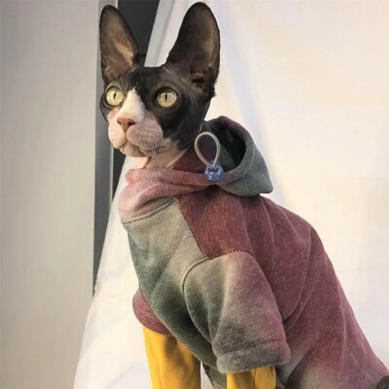 Pet Cat Sweatshirt Puppy Autumn and Winter Padded Warm Thick Casual Clothes British Shorthair Cat Fashion Tie Dye Hoodie
Pet Cat Sweatshirt Puppy Autumn and Winter Padded Warm Thick Casual Clothes British Shorthair Cat Fashion Tie Dye Hoodie