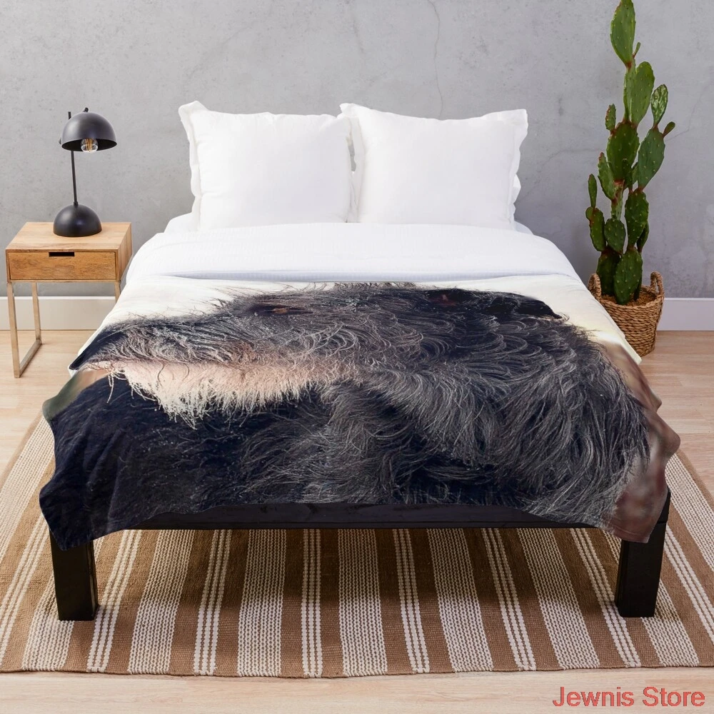 Winter Wolfhound Blanket Fleece Cartoon Print Children Warm Bed Throw Blanket newborn bayby Adult Blanket
Winter Wolfhound Blanket Fleece Cartoon Print Children Warm Bed Throw Blanket newborn bayby Adult Blanket