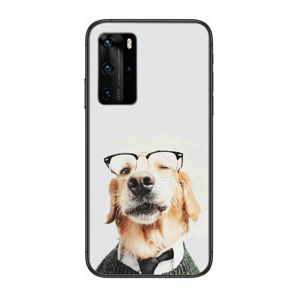Teddy Bulldog Pomeranian Corgi Cute dog Phone Case For Huawei P 40 30 20 10 9 8 Lite E Pro Plus Black Etui Coque Painting Hoes
Teddy Bulldog Pomeranian Corgi Cute dog Phone Case For Huawei P 40 30 20 10 9 8 Lite E Pro Plus Black Etui Coque Painting Hoes