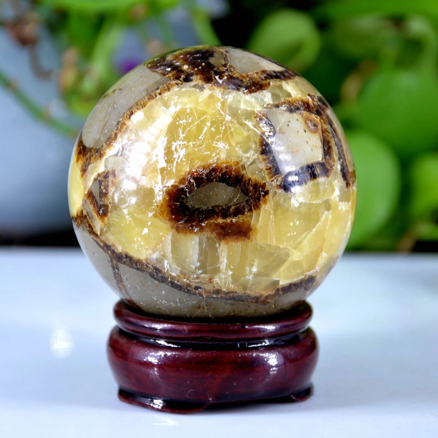 Natural Dragon Septarian Sphere Quartz Crystal Ball Reiki Healing Stone Jewelry Making Home Decoration
Natural Dragon Septarian Sphere Quartz Crystal Ball Reiki Healing Stone Jewelry Making Home Decoration