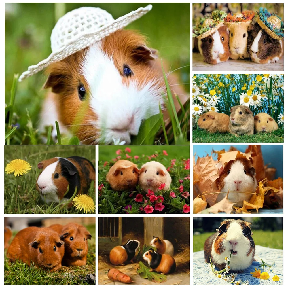 12 Chinese Zodiac Signs Mouse Diamond Paintings DIY Animals Cross Stitch Full Diamond Embroider Kits Rhinestone Home Decoration
12 Chinese Zodiac Signs Mouse Diamond Paintings DIY Animals Cross Stitch Full Diamond Embroider Kits Rhinestone Home Decoration