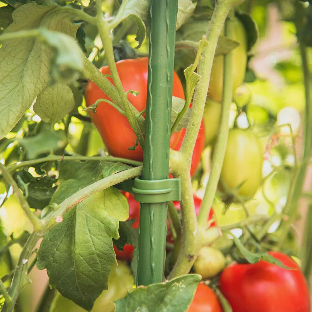12 Pcs Plant Support Stake Cage Garden Plant Rack Climbing Vine Rack Arms Tomato Cage Expandable Potted Frame Connectors
12 Pcs Plant Support Stake Cage Garden Plant Rack Climbing Vine Rack Arms Tomato Cage Expandable Potted Frame Connectors