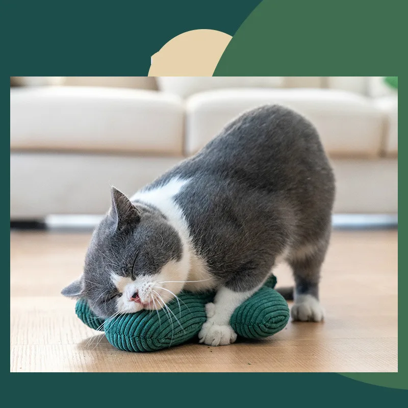Cats 3D Cactus Catnip Plush Toys Soft Plush Cat Pillow Doll Kitten Playing Toy Grinding Nails Pet Interactive Funny Chewing Toys
Cats 3D Cactus Catnip Plush Toys Soft Plush Cat Pillow Doll Kitten Playing Toy Grinding Nails Pet Interactive Funny Chewing Toys