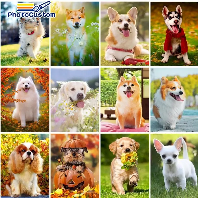 PhotoCustom Acylic Painting By Numbers Dog Kits Modern Picture By Numbers Animals Wall decor
PhotoCustom Acylic Painting By Numbers Dog Kits Modern Picture By Numbers Animals Wall decor