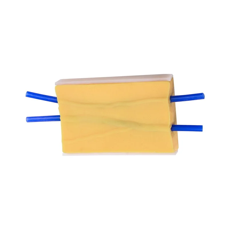 Venipuncture Subcutaneous Injection Training Pad Skin Blood Vessels Injection Practice Model for Nurses Student
Venipuncture Subcutaneous Injection Training Pad Skin Blood Vessels Injection Practice Model for Nurses Student
