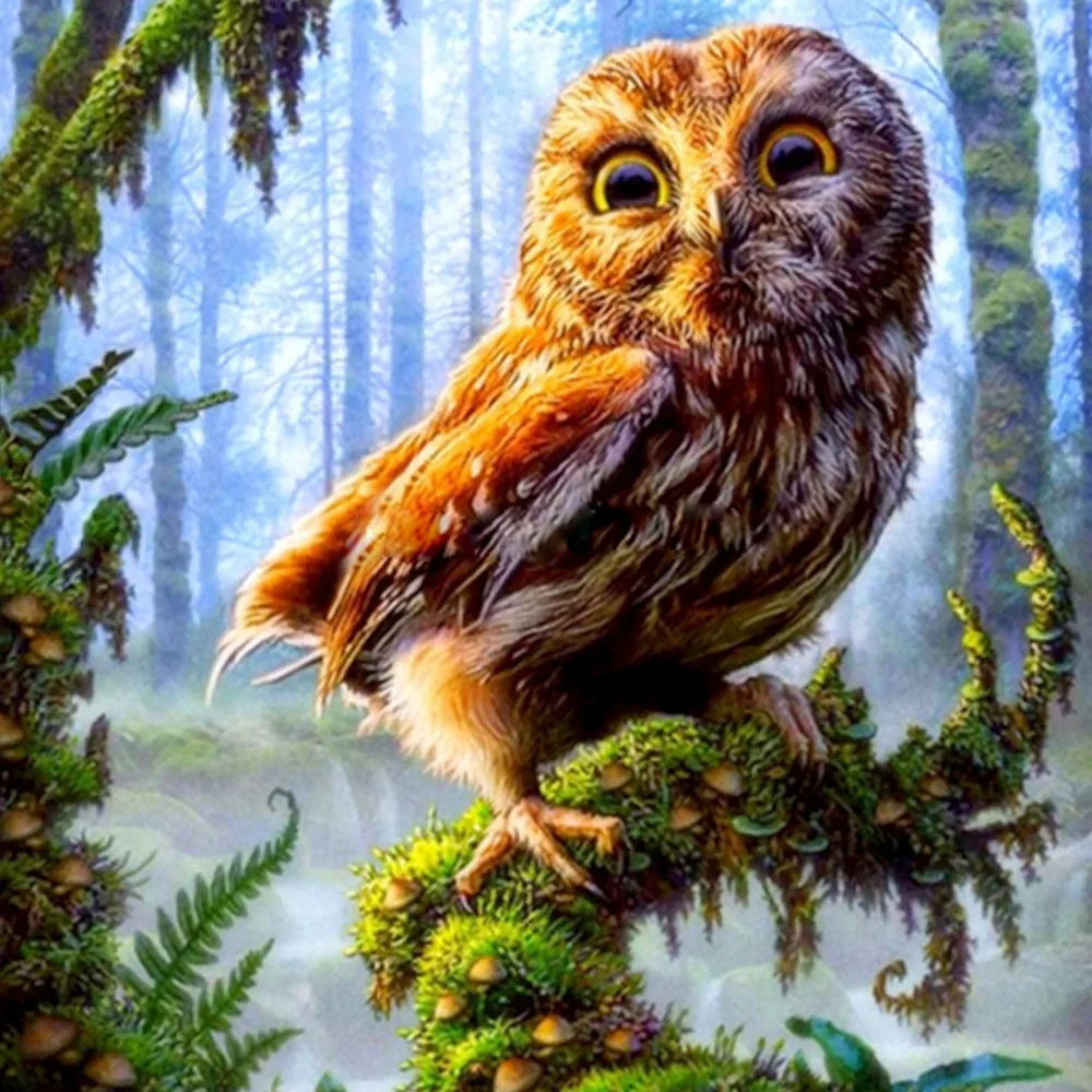 2018 NEW 5d diy full Diamond embroidery "Fat Owl With Big Round Eyes" diamond painting Cross Stitch Rhinestone mosaic decor
2018 NEW 5d diy full Diamond embroidery "Fat Owl With Big Round Eyes" diamond painting Cross Stitch Rhinestone mosaic decor