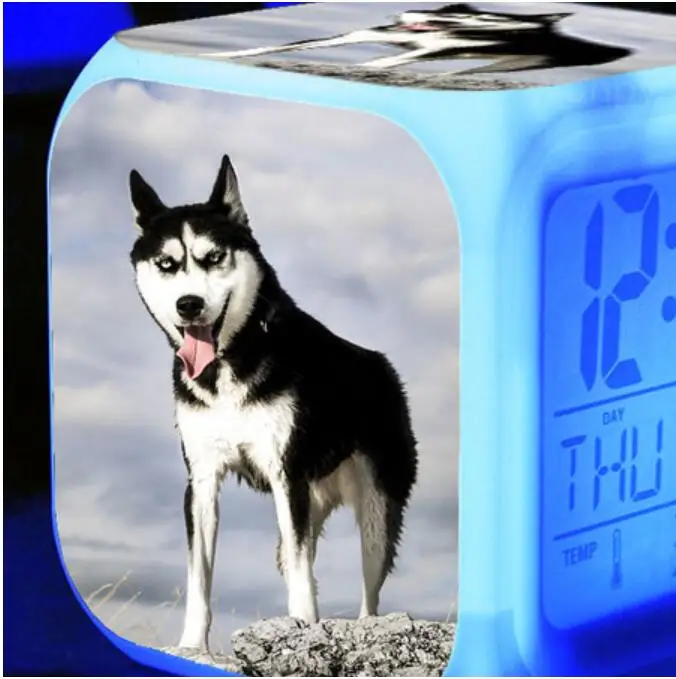 7 Color Glowing Multifunction Digital Alarm Clock Cute Husky Dog LED Alarm Clock Kids room Night Light Electronic Clock Watches
7 Color Glowing Multifunction Digital Alarm Clock Cute Husky Dog LED Alarm Clock Kids room Night Light Electronic Clock Watches