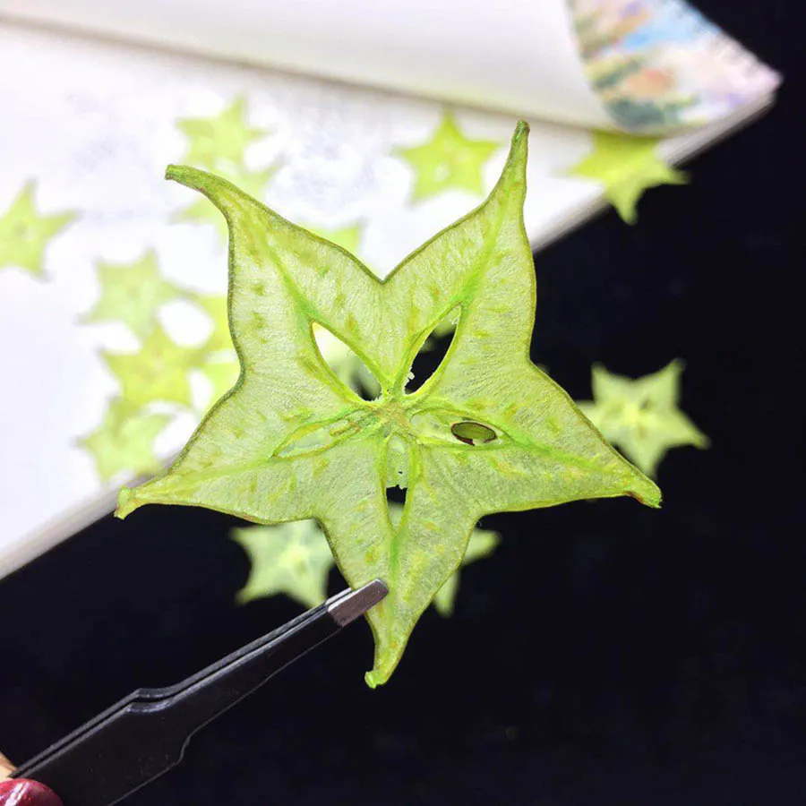 5pcs Dried Pressed Exopy Dyed Carambola Fruits Slices Plant Herbarium For Photo Frame Phone Case Bookmark Scrapbook Craft DIY
5pcs Dried Pressed Exopy Dyed Carambola Fruits Slices Plant Herbarium For Photo Frame Phone Case Bookmark Scrapbook Craft DIY