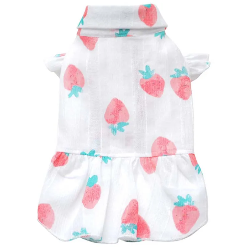 Dog clothes spring and summer strawberry print pet clothes puppy clothes dog shirt small dog clothes pet shirt bottoming shirt
Dog clothes spring and summer strawberry print pet clothes puppy clothes dog shirt small dog clothes pet shirt bottoming shirt