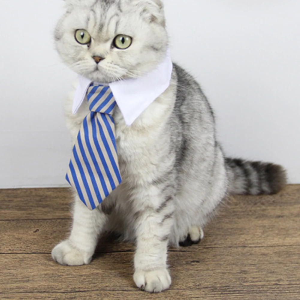 Лидер продаж! Собака Щенок вечерние свадебные регулируемые полосатые Уход за лошадьми воротник шеи галстук-бабочка ошейник средства ухода ...
Лидер продаж! Собака Щенок вечерние свадебные регулируемые полосатые Уход за лошадьми воротник шеи галстук-бабочка ошейник средства ухода ...