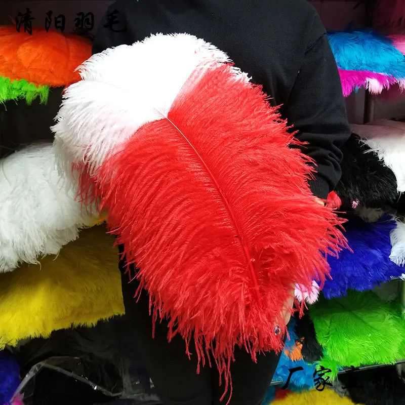 Sale 50pcs/lot beautiful ostrich feather 65-70cm/26-28inches Home carnival Christmas celebration Wedding Party plume
Sale 50pcs/lot beautiful ostrich feather 65-70cm/26-28inches Home carnival Christmas celebration Wedding Party plume