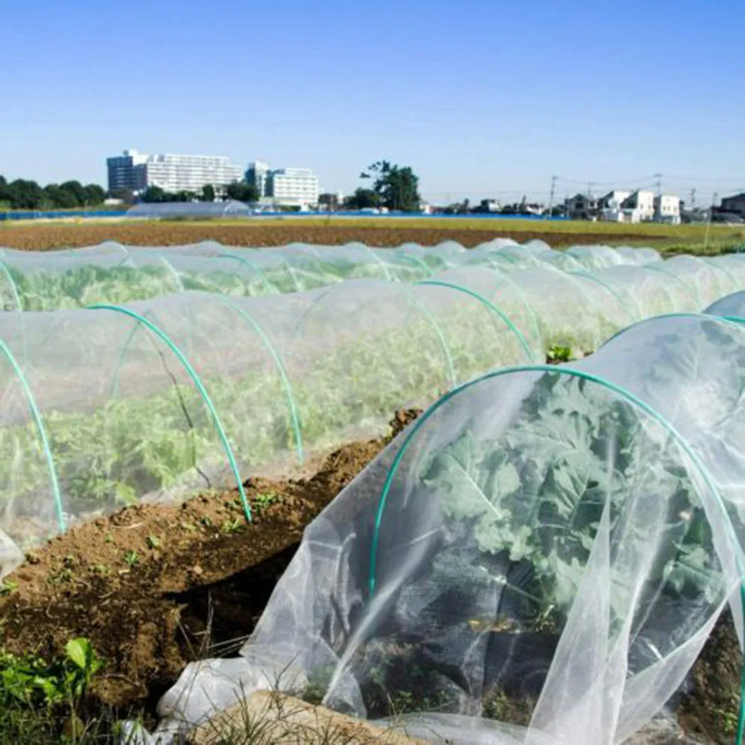 Greenhouse Protective Net Non-woven Fabric Frost Protection Plant Covers Reusable Fleece Insect Netting For Garden Pest Control
Greenhouse Protective Net Non-woven Fabric Frost Protection Plant Covers Reusable Fleece Insect Netting For Garden Pest Control