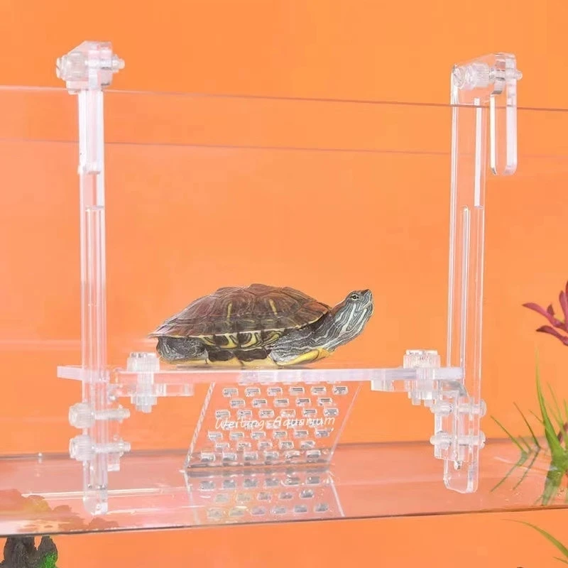 Plataforma de tortuga de acrílico para acuario, plataforma de escalada de alto nivel de agua, flotante, tipo de pared para Isla
Plataforma de tortuga de acrílico para acuario, plataforma de escalada de alto nivel de agua, flotante, tipo de pared para Isla