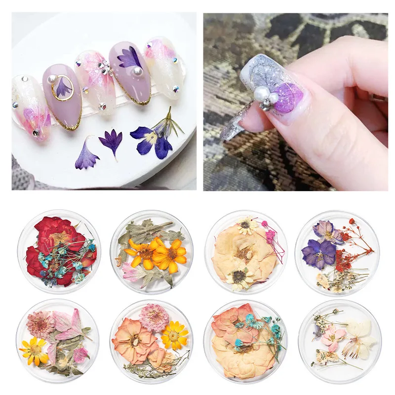 1 Box Dry Flowers for Resin Nail Art Stickers Mini Real Natural Nail Art Design 3d Flower Charms DIY Nail Salon Supplies Tips
1 Box Dry Flowers for Resin Nail Art Stickers Mini Real Natural Nail Art Design 3d Flower Charms DIY Nail Salon Supplies Tips