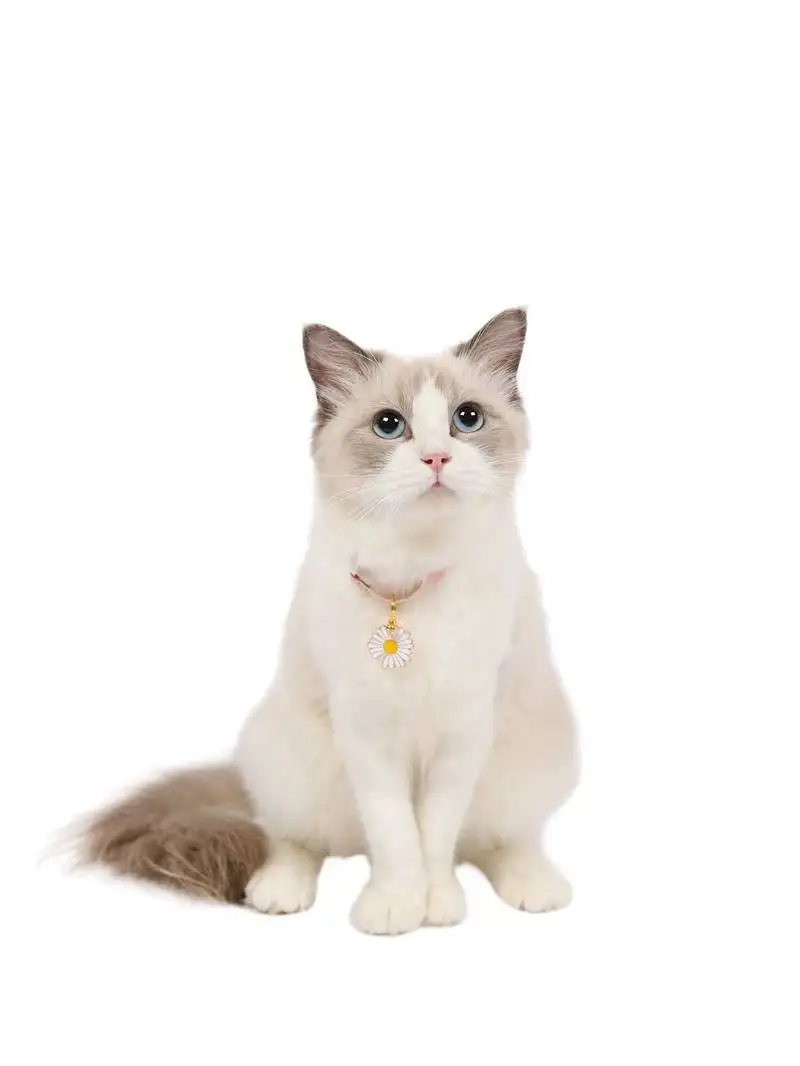 Summer Daisy Cat Collar Safety Adjustable Cat Collars Set Accessories for Pet Collars, Adjustable for Cats and Small Dogs Teddy
Summer Daisy Cat Collar Safety Adjustable Cat Collars Set Accessories for Pet Collars, Adjustable for Cats and Small Dogs Teddy