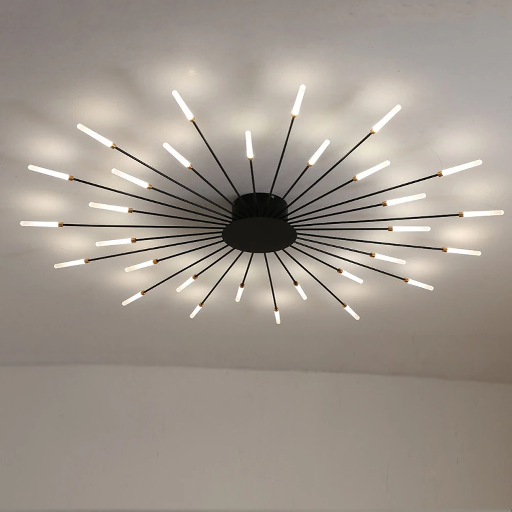 Modern LED Fireworks Ceiling Lights for Living Room Bedroom Indoor Ceiling Lamps Fixture 110V 220V
Modern LED Fireworks Ceiling Lights for Living Room Bedroom Indoor Ceiling Lamps Fixture 110V 220V