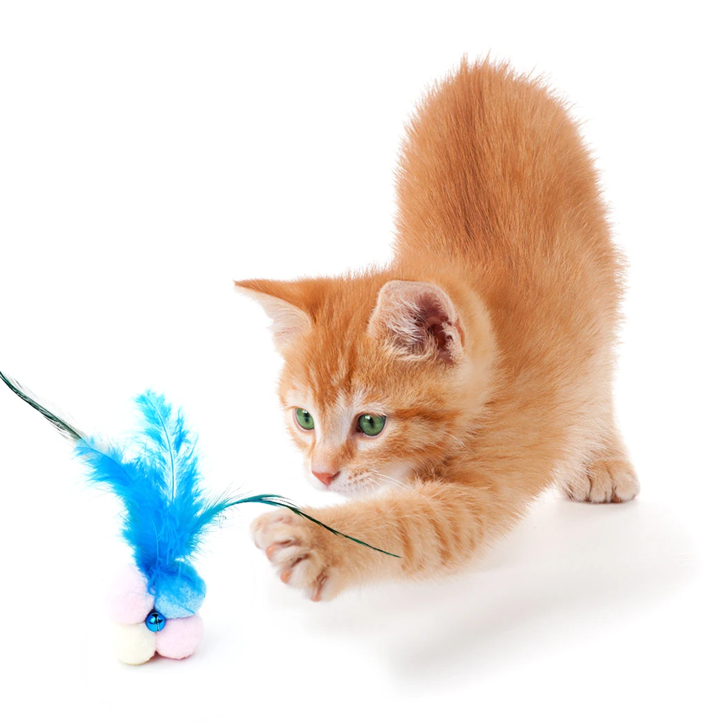 1PCS Random Color Cat Toy Colorful Pompom Fake Feather Bell Decor Cat Training Toy Pet Sound Toy Cat Funny Toy for Pet
1PCS Random Color Cat Toy Colorful Pompom Fake Feather Bell Decor Cat Training Toy Pet Sound Toy Cat Funny Toy for Pet