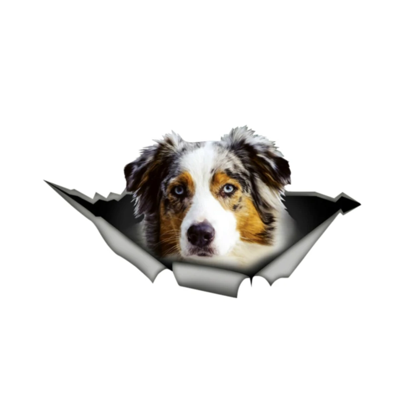 Car Sticker 3D Styling Australian Shepherd Torn Metal Wanted Automobiles Exterior Accessories Vinyl Decals,13cm*7cm
Car Sticker 3D Styling Australian Shepherd Torn Metal Wanted Automobiles Exterior Accessories Vinyl Decals,13cm*7cm