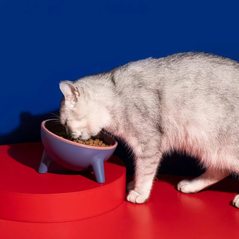 1 Piece New Cat Bowl Non-Slip Plastic Kittens Feeding Bowl Creative Cats Dogs Drinking Dish Pets Puppy Cats Feeder Supplies
1 Piece New Cat Bowl Non-Slip Plastic Kittens Feeding Bowl Creative Cats Dogs Drinking Dish Pets Puppy Cats Feeder Supplies