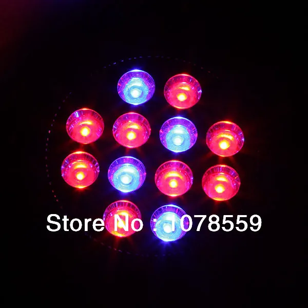 E27 36W 4Blue 8Red 660:460=8:4 12x 3W Plant Flower Greenhouse Hydroponic LED Grow Growing Light Bulb AC85~265
E27 36W 4Blue 8Red 660:460=8:4 12x 3W Plant Flower Greenhouse Hydroponic LED Grow Growing Light Bulb AC85~265