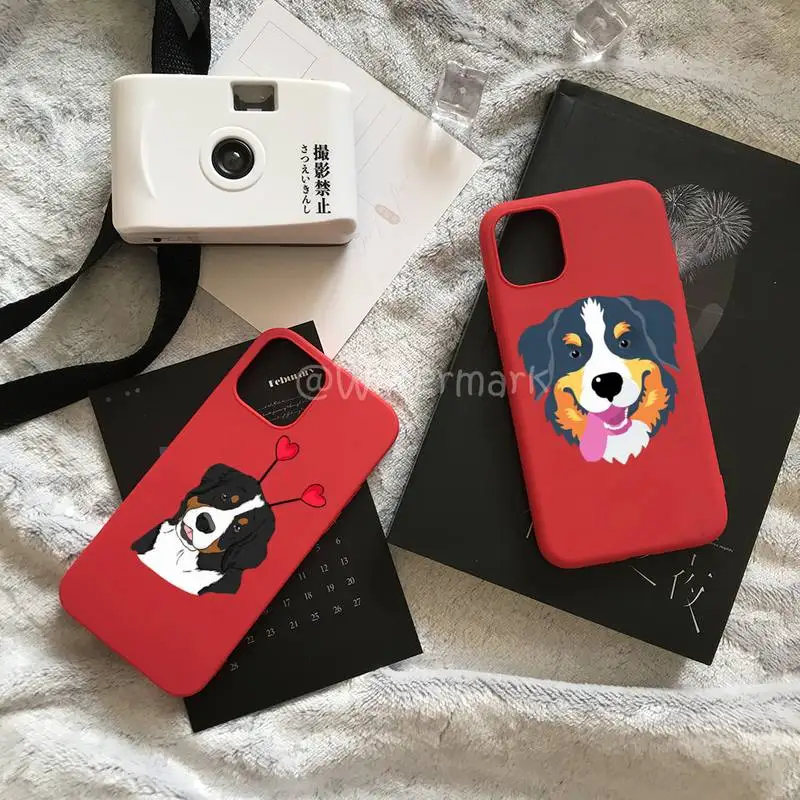 Bernese Mountain Dog Phone Case For IPhone 7 8 6 6s Plus Xr X Xs 11 12 13 Pro Max Mini Red Candy Colors Cover Coque
Bernese Mountain Dog Phone Case For IPhone 7 8 6 6s Plus Xr X Xs 11 12 13 Pro Max Mini Red Candy Colors Cover Coque