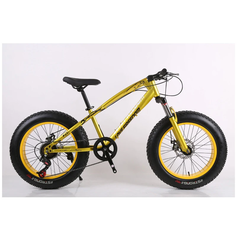 Black Mech Mountain Bike Snow Bike 27 Speed Dual Disc Brake Wide Cross Cross Country Bike
Black Mech Mountain Bike Snow Bike 27 Speed Dual Disc Brake Wide Cross Cross Country Bike