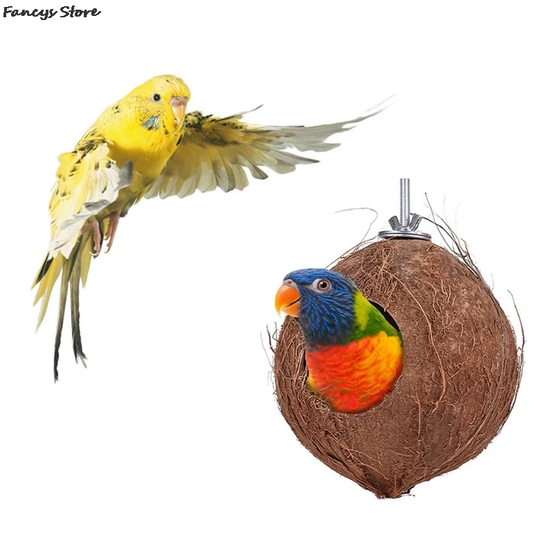 Coconut Shell Cute Parrot Squirrel Hamster House Shade Hanging Basket Home Decoration Key Storage Box Garden Kawai Ornament New
Coconut Shell Cute Parrot Squirrel Hamster House Shade Hanging Basket Home Decoration Key Storage Box Garden Kawai Ornament New