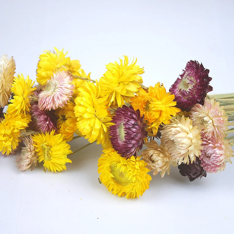 DIY Daisy Little Calliopsis Star Dried Flower Bouquet Branch Home/Christms/Wedding Decoration/Party Accessories Gif Navidad 
DIY Daisy Little Calliopsis Star Dried Flower Bouquet Branch Home/Christms/Wedding Decoration/Party Accessories Gif Navidad