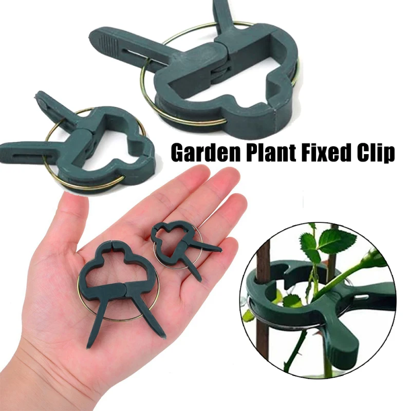 80pcs Garden Plant Fixed Clip Vines Grape Support Fastener Vegetables Flowers Tied Buckle Clamp Greenhouse Bracket
80pcs Garden Plant Fixed Clip Vines Grape Support Fastener Vegetables Flowers Tied Buckle Clamp Greenhouse Bracket