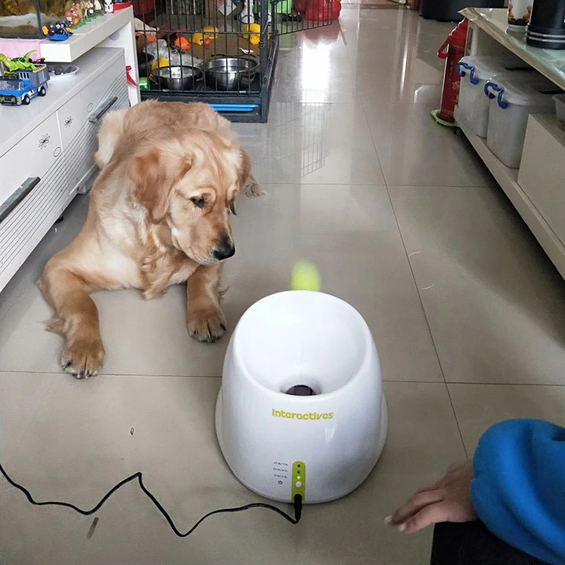 Игрушки для собак пусковая установка тенниса автоматическая метательная машина