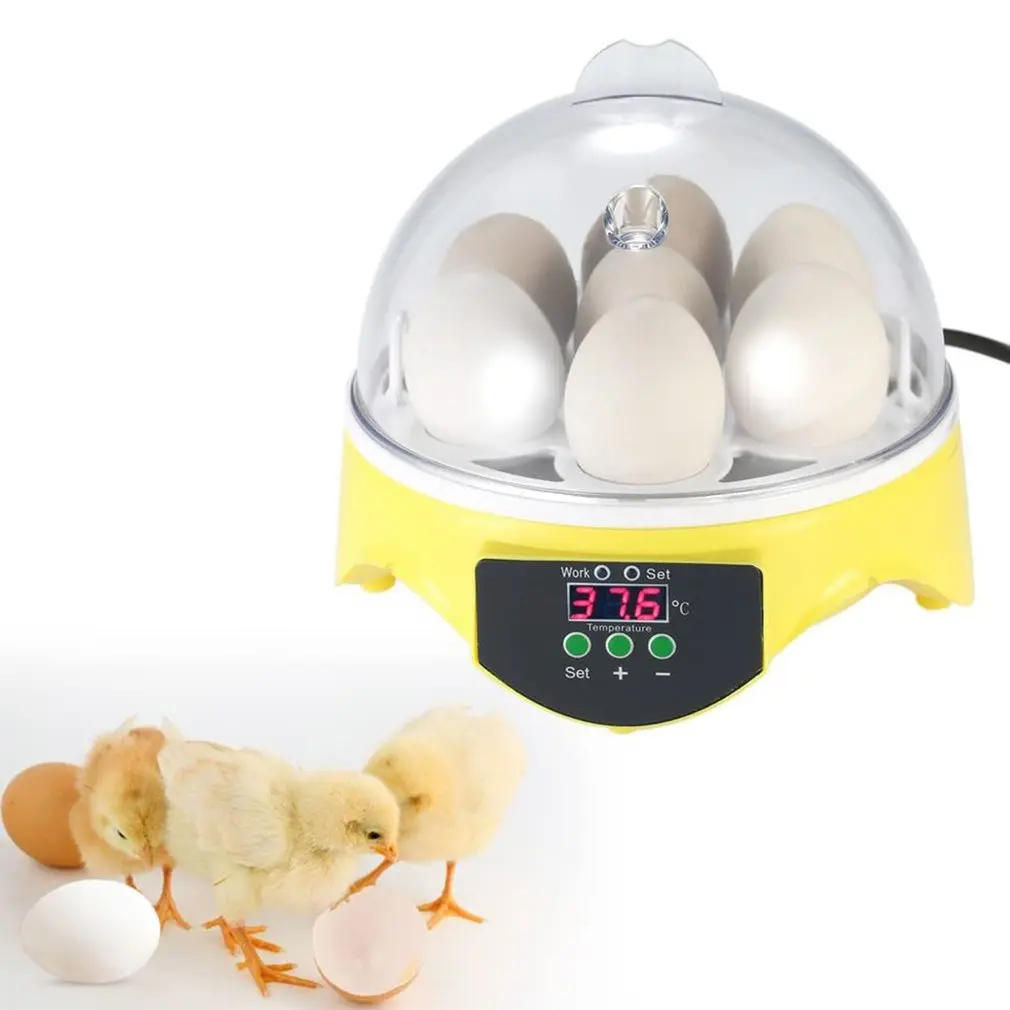 Small Intelligent Digital 7 Eggs Incubator Brooding Machine Thermostatic Chicken Eggs Semi-automatic Eggs Incubator
Small Intelligent Digital 7 Eggs Incubator Brooding Machine Thermostatic Chicken Eggs Semi-automatic Eggs Incubator