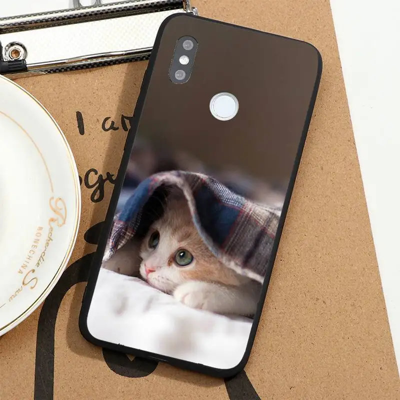 cute cat animal high quality funny Phone Case For Xiaomi Redmi 4x 5 plus 6A 7 7A 8 10 mi8 8lite 9 note 4 5 6 7 8 pro
cute cat animal high quality funny Phone Case For Xiaomi Redmi 4x 5 plus 6A 7 7A 8 10 mi8 8lite 9 note 4 5 6 7 8 pro