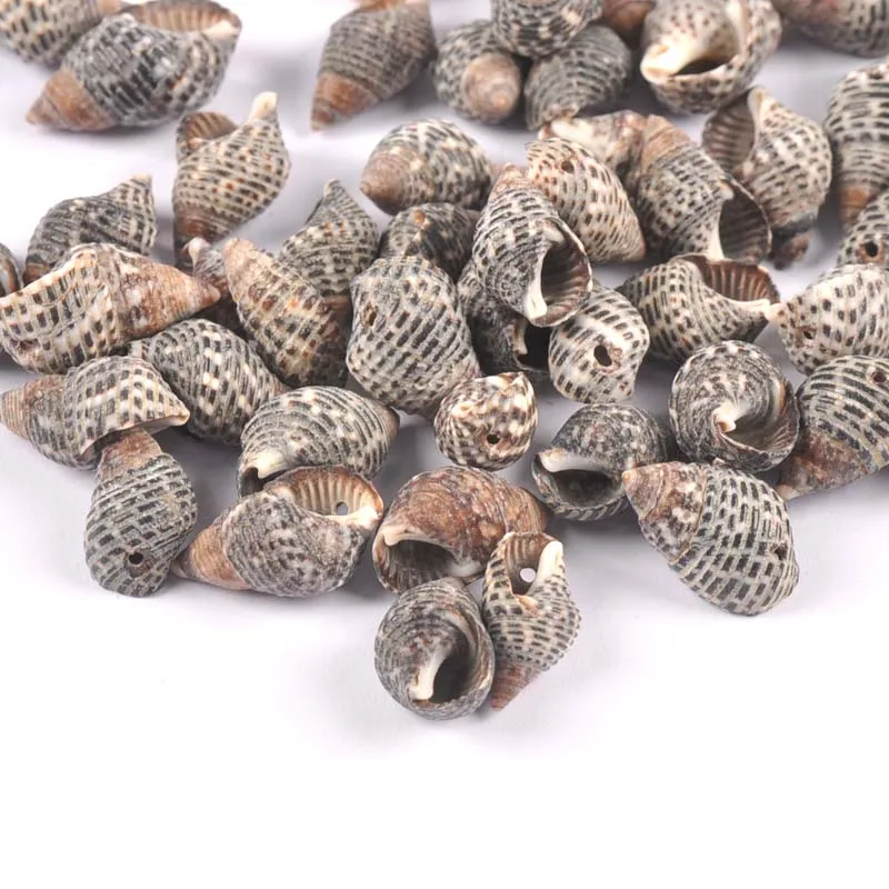 30pcs Black dot pattern Shell Beads Natural Shell Bead for Hand decorated home furnishings and aquarium accessories TRS0432
30pcs Black dot pattern Shell Beads Natural Shell Bead for Hand decorated home furnishings and aquarium accessories TRS0432