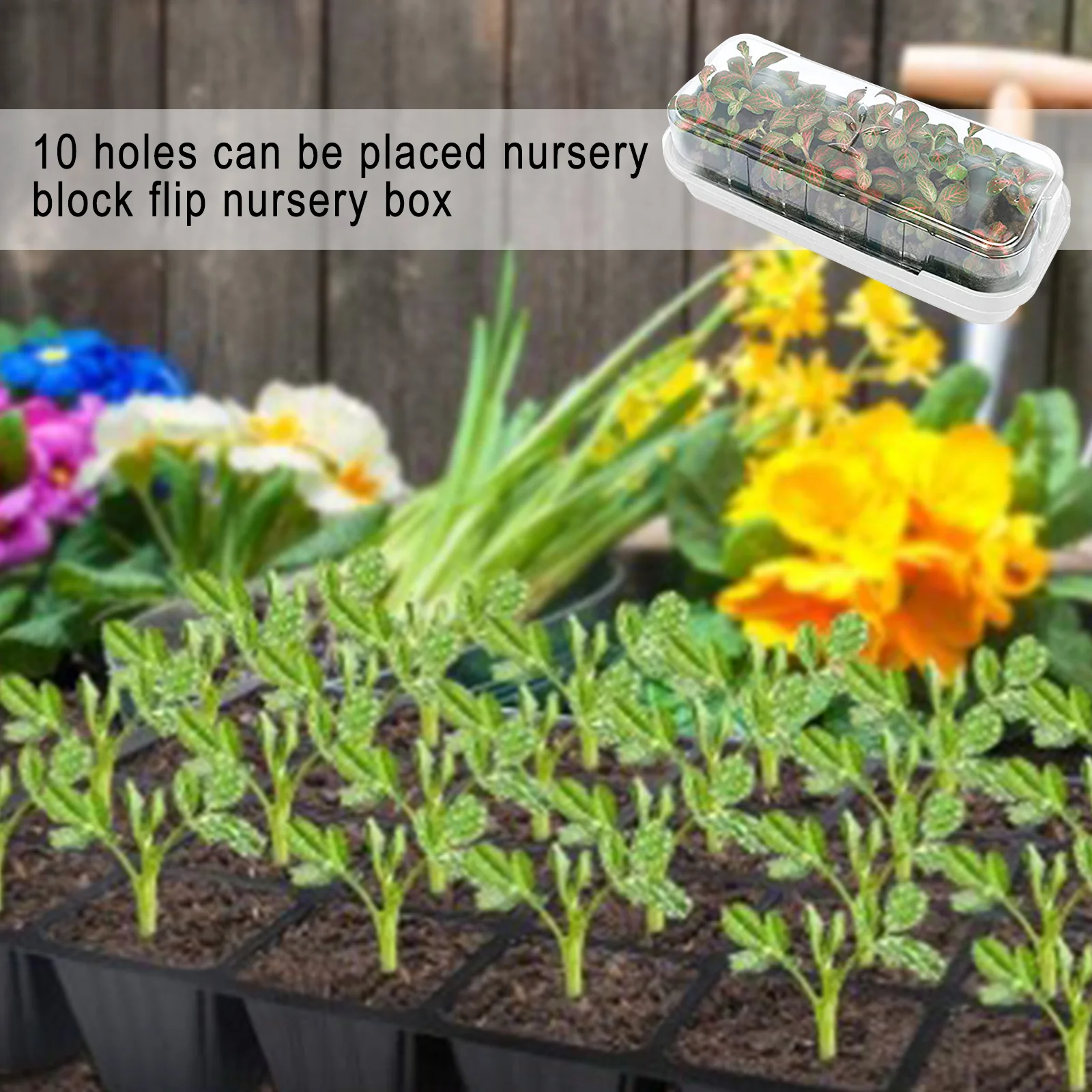 10PACK Seed Propagator Tray Set Mini Windowsill Trays With Cover Dome Plant Germination Box For Seeds Growing Starting (White)
10PACK Seed Propagator Tray Set Mini Windowsill Trays With Cover Dome Plant Germination Box For Seeds Growing Starting (White)